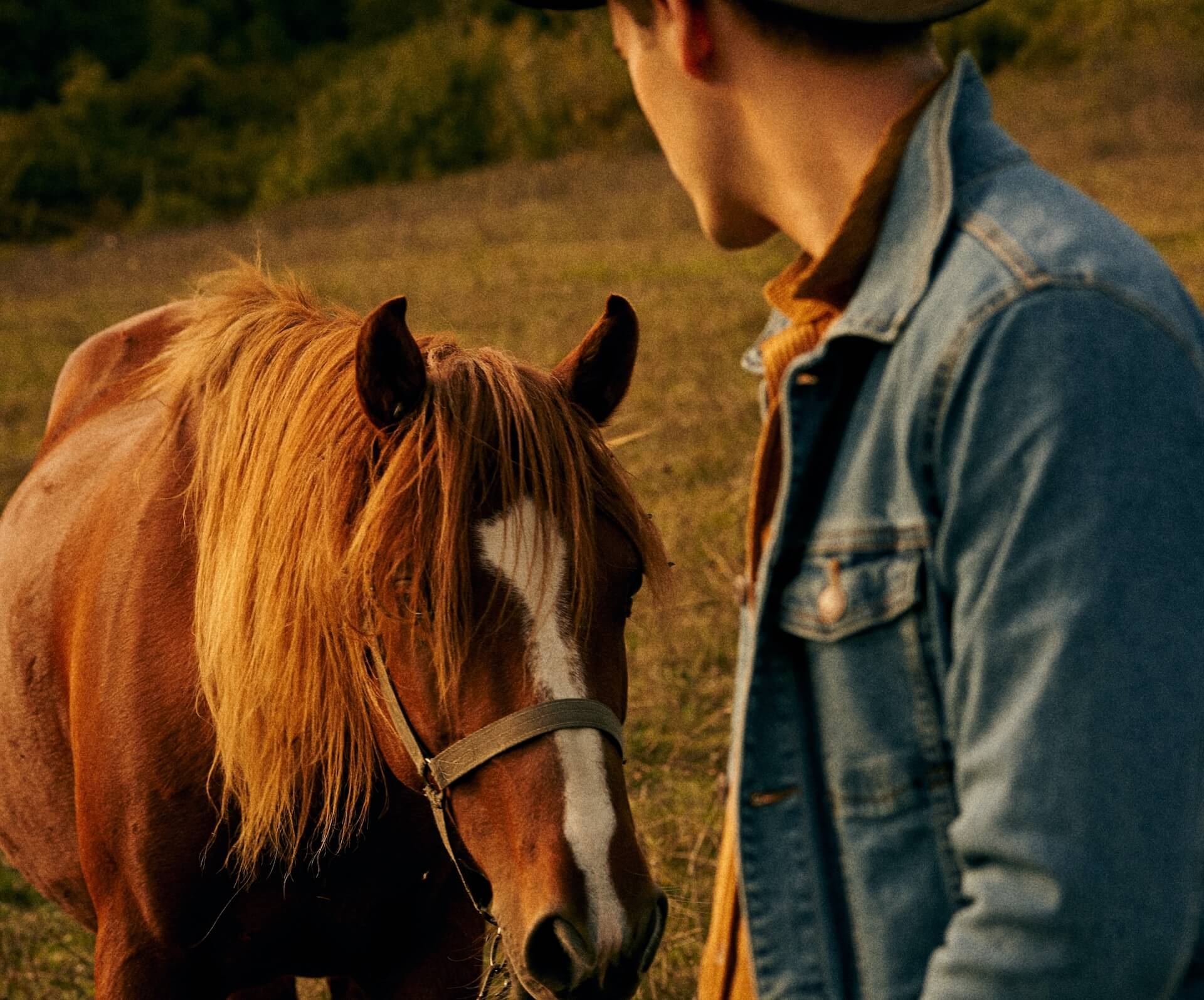 Parker Trail Riders